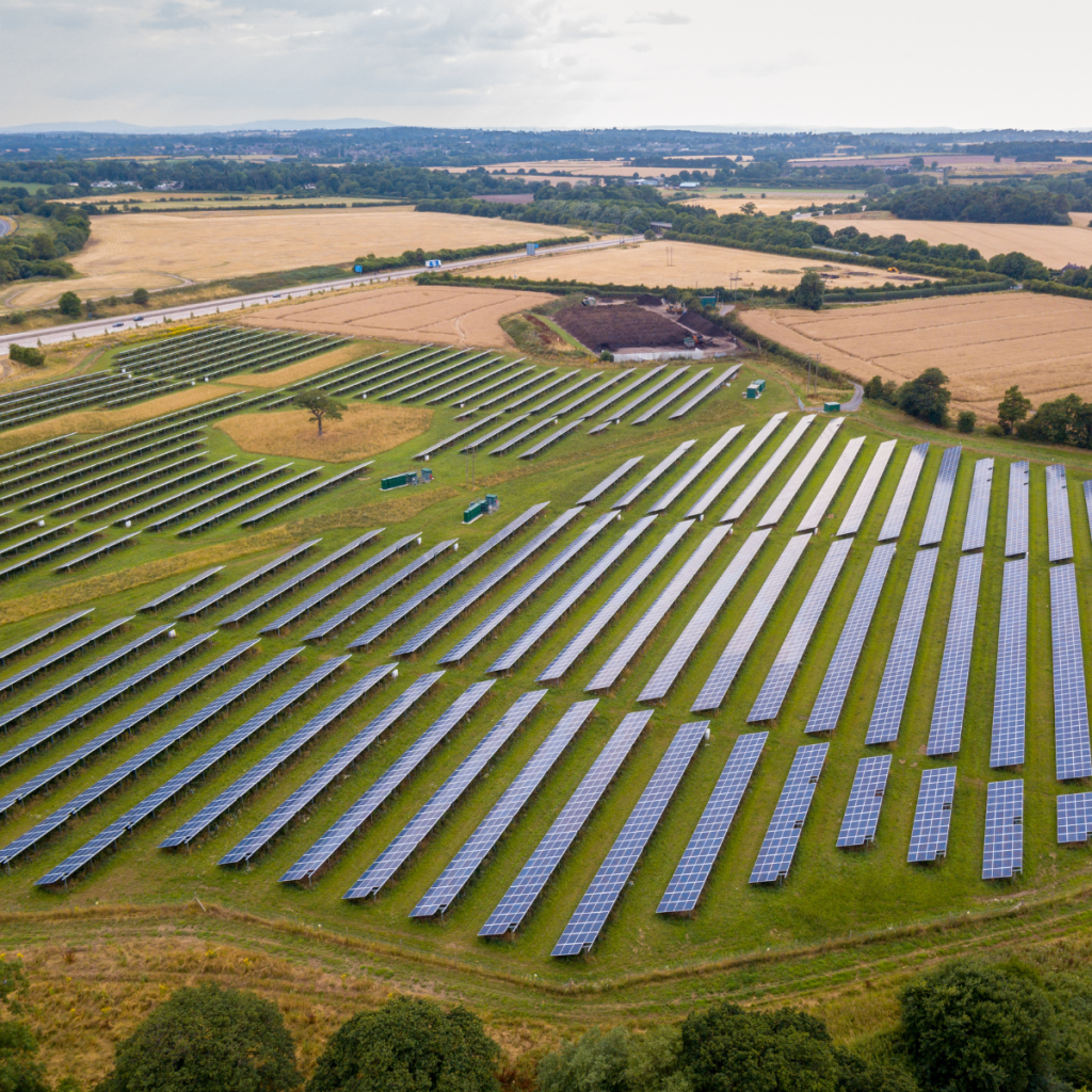 Expansive field densely covered with solar panels.